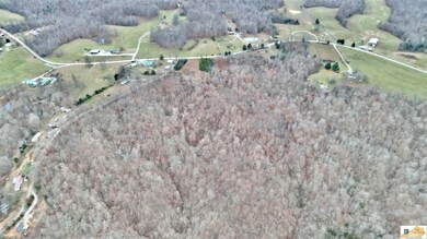 36 Scott Ridge Rd, Edmonton, KY 42129 - photo 7