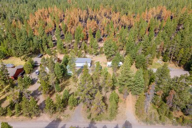 Aerial to forest