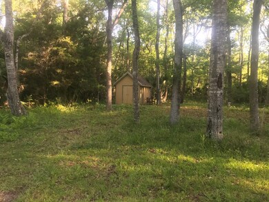 9 2nd Ave NE, Steinhatchee, FL 32359 - photo 2