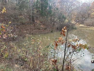 Pine Lake Dr, Batesville, MS 38606 - photo 7