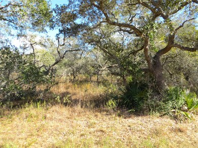 1078 Indian Cir, Altair, TX 77442 - photo 2