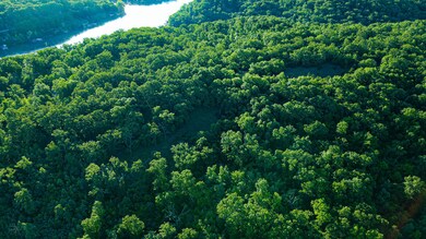 Tbd Sandy Rd, Cross Timbers Township, MO 65326 - photo 4