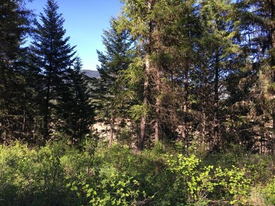 126 Deer Run Rd, Trout Creek, MT 59874 - photo 4