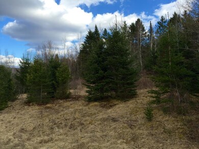 0 Jason Ave unit 4484717, Jefferson, NH 03583 - photo 2