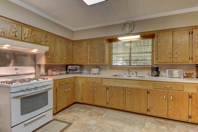1104 Wilfred-7