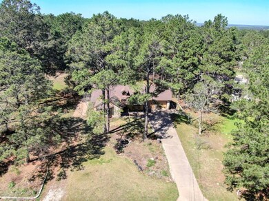 251 Pine View Loop, Bastrop, TX 78602 - photo 2