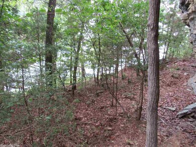 73 Brighton Pointe Ln, Heber Springs, AR 72543 - photo 4