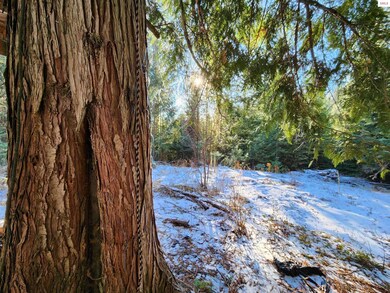 NNA S View Ln, Sandpoint, ID 83864 - photo 3