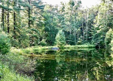 58 St Josen Rd, Accord, NY 12404 - photo 5