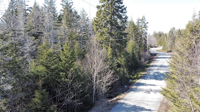 11 Collins Cove Rd, MacHiasport, ME 04655 - photo 6