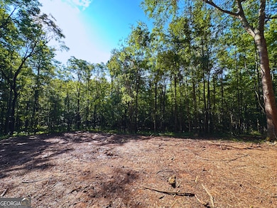 119 Hough Johnson Rd, Haddock, GA 31033 - photo 6