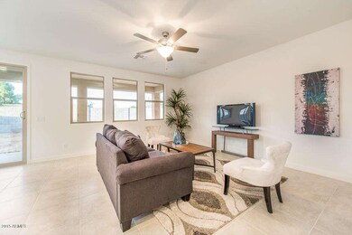The Living Area