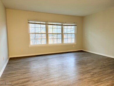 6930 Carriage Hill Dr unit 202, Brecksville, OH 44141 - photo 6