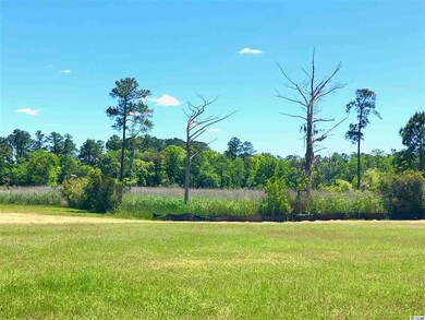 Lot # 138 S Bay St, Georgetown, SC 29440 - photo 6