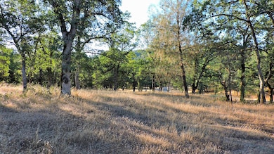 0 5 01 Ac Fieldbrook Estates Dr unit 16-3399, Redding, CA 96003 - photo 7