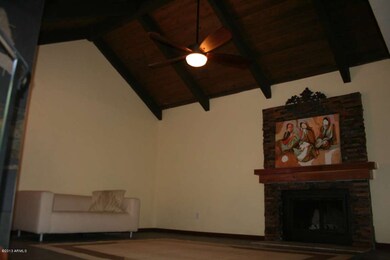 LR w/ vaulted cielings & wood buring FP.