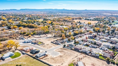 DJI_0203