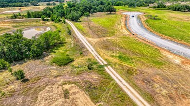 Lot 16 Aslan Rd, Poolville, TX 76487 - photo 3