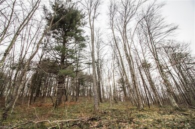 0 Township Highway 539, Loudonville, OH 44842 - photo 3