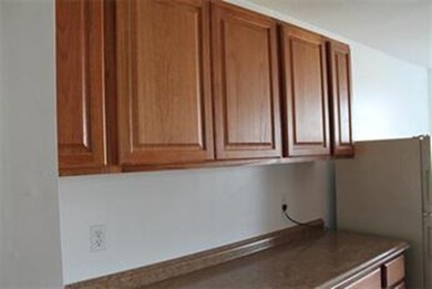 42 Shrewsbury Green Dr unit E, Shrewsbury, MA 01545 - photo 2