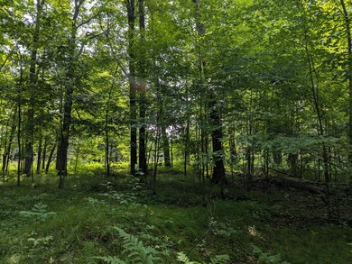 N6683 Aspen Rd, Phillips, WI 54555 - photo 7