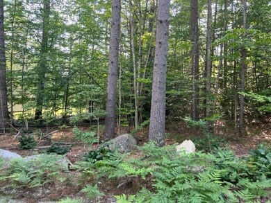 10 Grandval Way, Madison, NH 03849 - photo 3