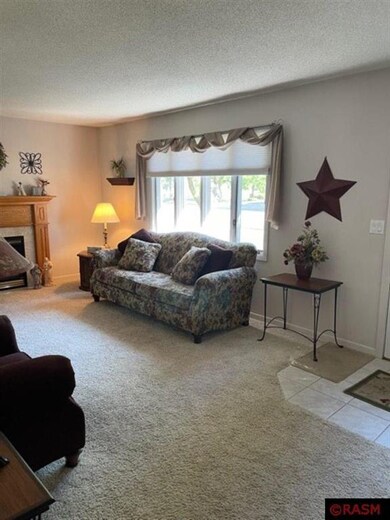 1617 N Franklin St, New Ulm, MN 56073 - photo 3