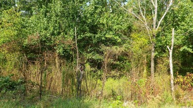 0 Fuller Rd unit 21031781, Conway, AR 72032 - photo 3