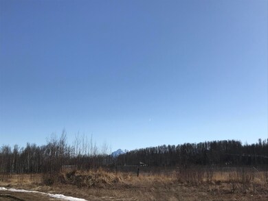 3105 W Top of The World Cir unit A, Wasilla, AK 99654 - photo 2