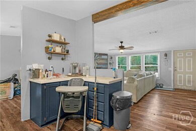 1141 Barrett Cemetery Rd NE, Ludowici, GA 31316 - photo 6