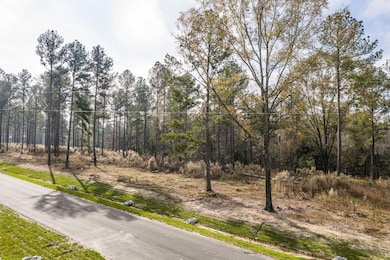 158 Beagle Chase Dr, Appling, GA 30802 - photo 4