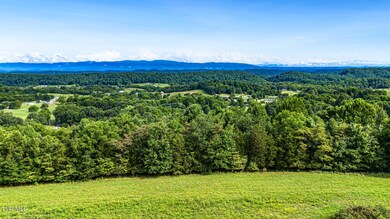 DJI_0903