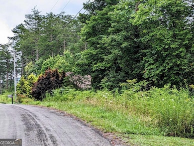 LOT32 Lakeview Dr, Turtletown, TN 37391 - photo 6