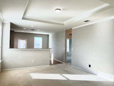 10151 Castello Canyon, San Antonio, TX 78254 - photo 6