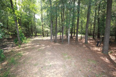 3 Deer Lodge Rd, Magnolia, TX 77354 - photo 3