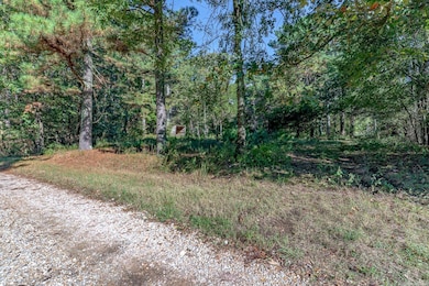 102 Greene 716 Rd, Paragould, AR 72450 - photo 3