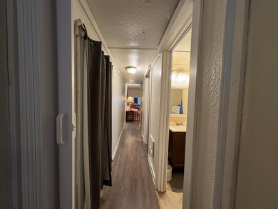 IMG_3256