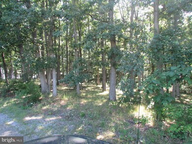 1735 Shatzer Rd, Chambersburg, PA 17201 - photo 5