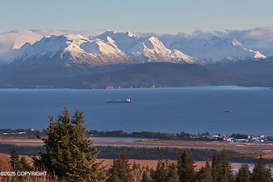 5012 Pine Terrace Cir, Homer, AK 99603 - photo 4