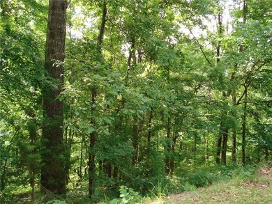 0 Stoke Ln unit 1049810, Bella Vista, AR 72714 - photo 2