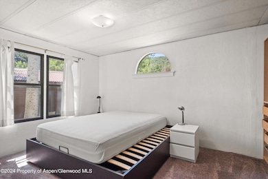 40 Aspen Village Rd, Aspen, CO 81611 - photo 5