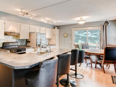 46 Center Rd Circle Pines MN-004-002-Kitchen-MLS_S
