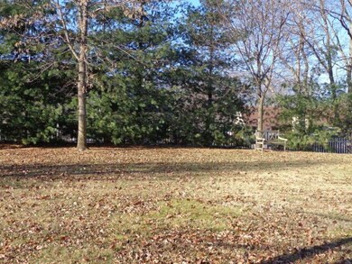 Private Back Yard