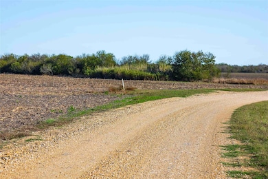 TBD County Road 462, Thorndale, TX 76577 - photo 5