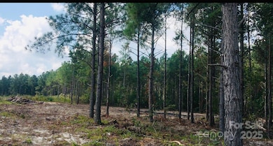 1561 Jones Rd, Kershaw, SC 29067 - photo 2