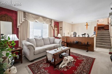 Living room with lots of natural light