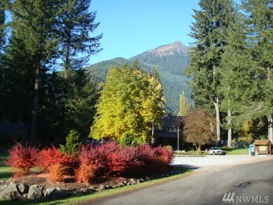 7103 Guy Peak, Deming, WA 98244 - photo 5