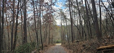 Tract 30 Gillespie Rd SE, Fairmont, GA 30139 - photo 3