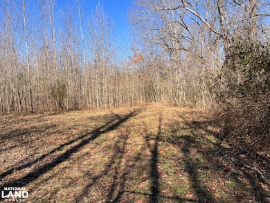 0 Co Rd 65 unit 24094921, Swaim, AL 35745 - photo 6