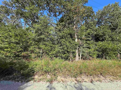 Lots 1 & 2 Round Mountain Dr, Flippin, AR 72634 - photo 3